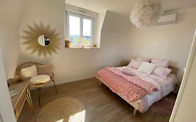 L'Elegant: 80M2 Vue Sur Vignoble Au Centre D'Epernay!!